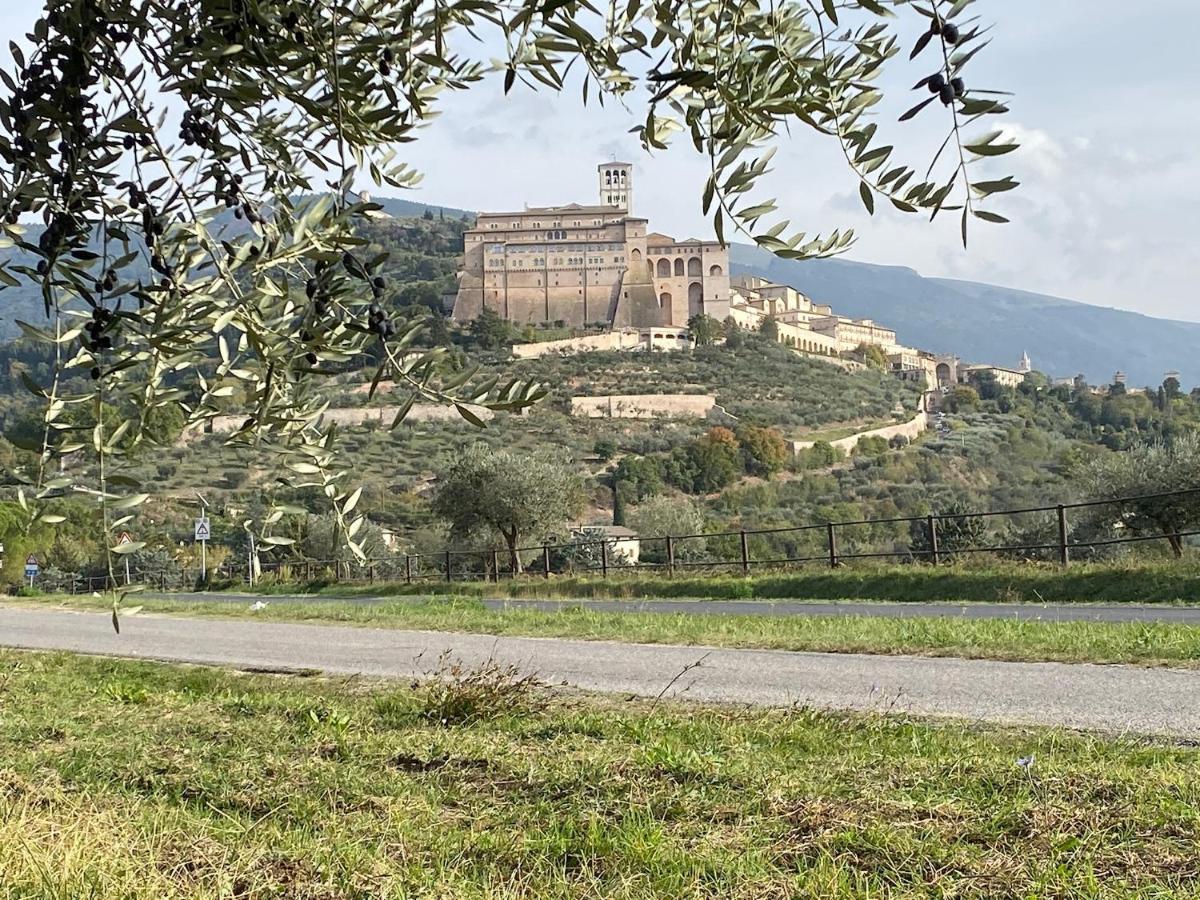 Agriturismo Il Girasole Assisi Exterior photo