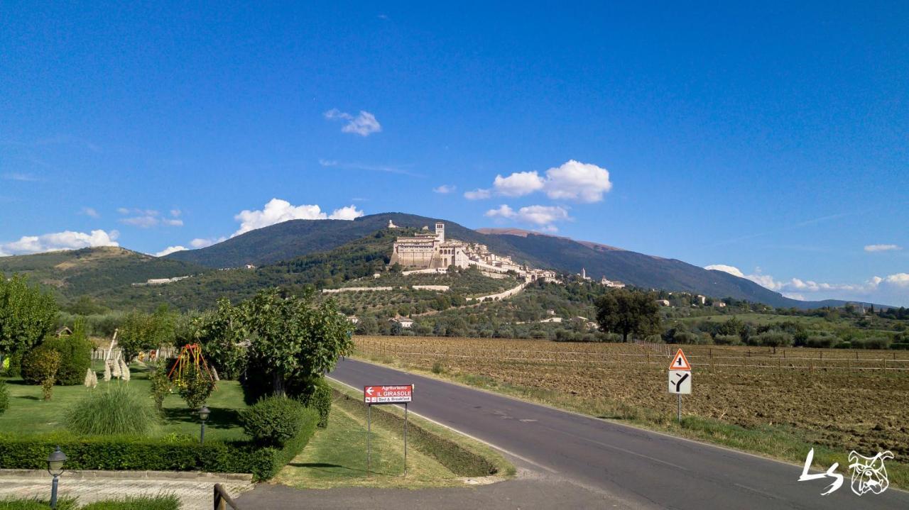 Agriturismo Il Girasole Assisi Exterior photo