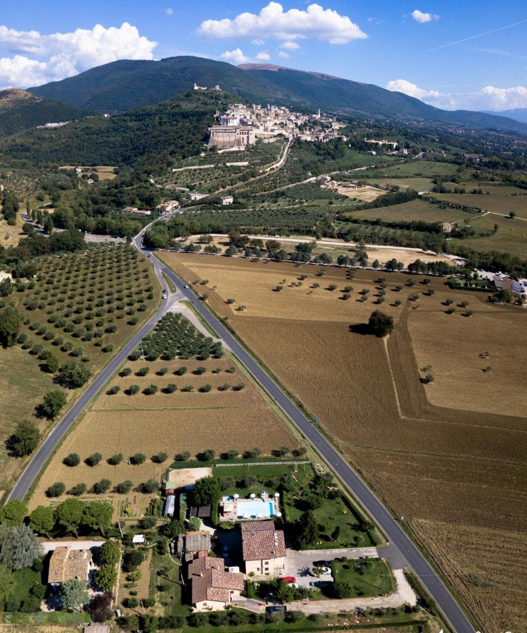 Agriturismo Il Girasole Assisi Exterior photo