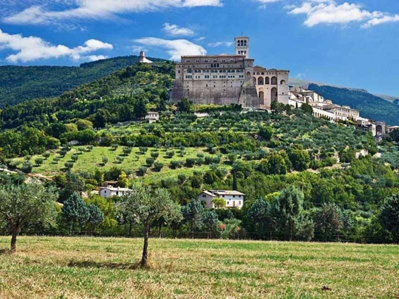 Agriturismo Il Girasole Assisi Exterior photo